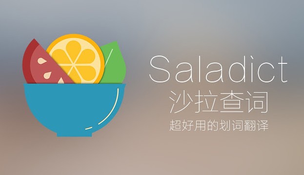 沙拉查词手机版app - 查词翻译软件